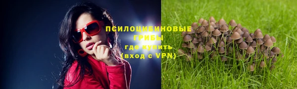 альфа пвп Осинники