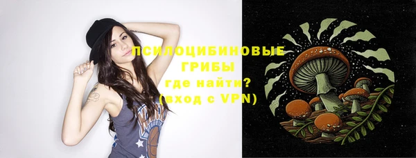 индика Остров