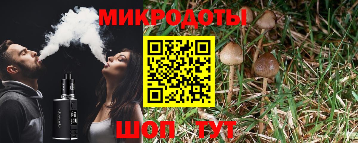 Псилоцибиновые грибы MAGIC MUSHROOMS  Кудрово  Галлюциногенные грибы мицелий 