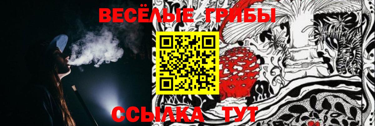Кудрово  Галлюциногенные грибы ЛСД  Вход с VPN  Галлюциногенные грибы Cubensis 